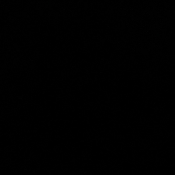 Meet your Posher, Ari - Picture 1 of 1